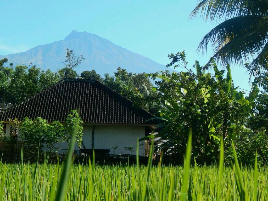 Kembang Kuning Cottages Tetebatu Ngoại thất bức ảnh